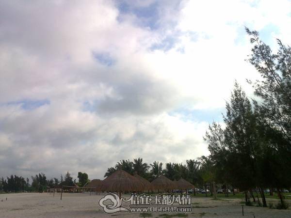 20110605022.jpg