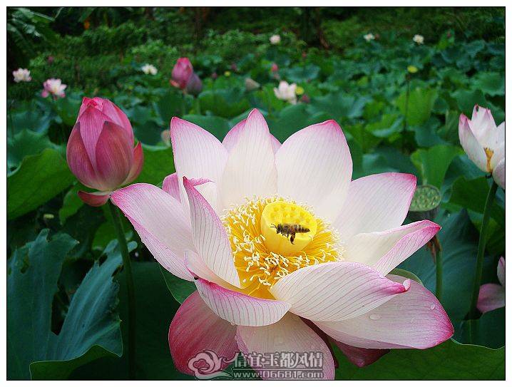 nEO_IMG_DSC07372.jpg