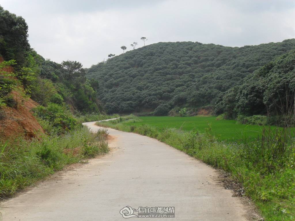 SDC10885.JPG