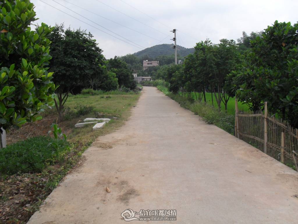 SDC10888.JPG