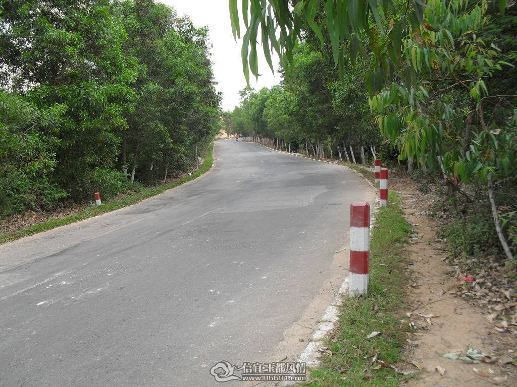 SDC10896.JPG