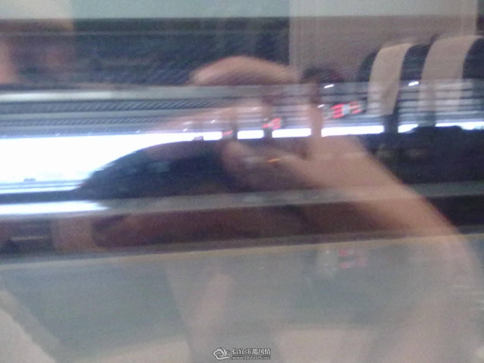 20110602002.jpg