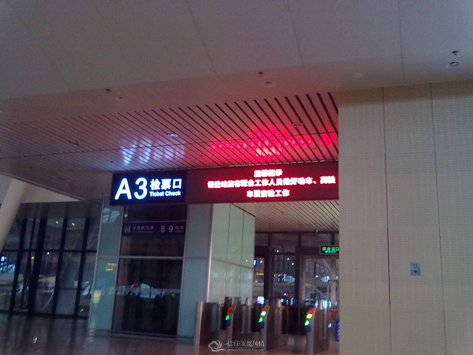 20110604009.jpg