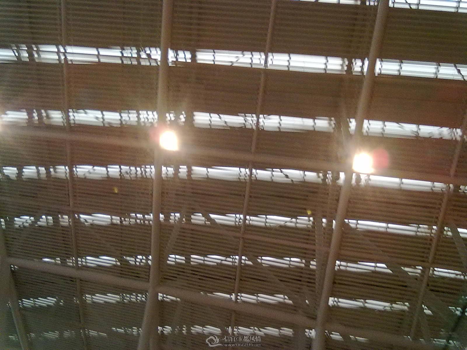20110604010.jpg