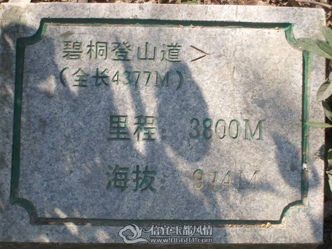 http_imgloadCA8587WT.jpg