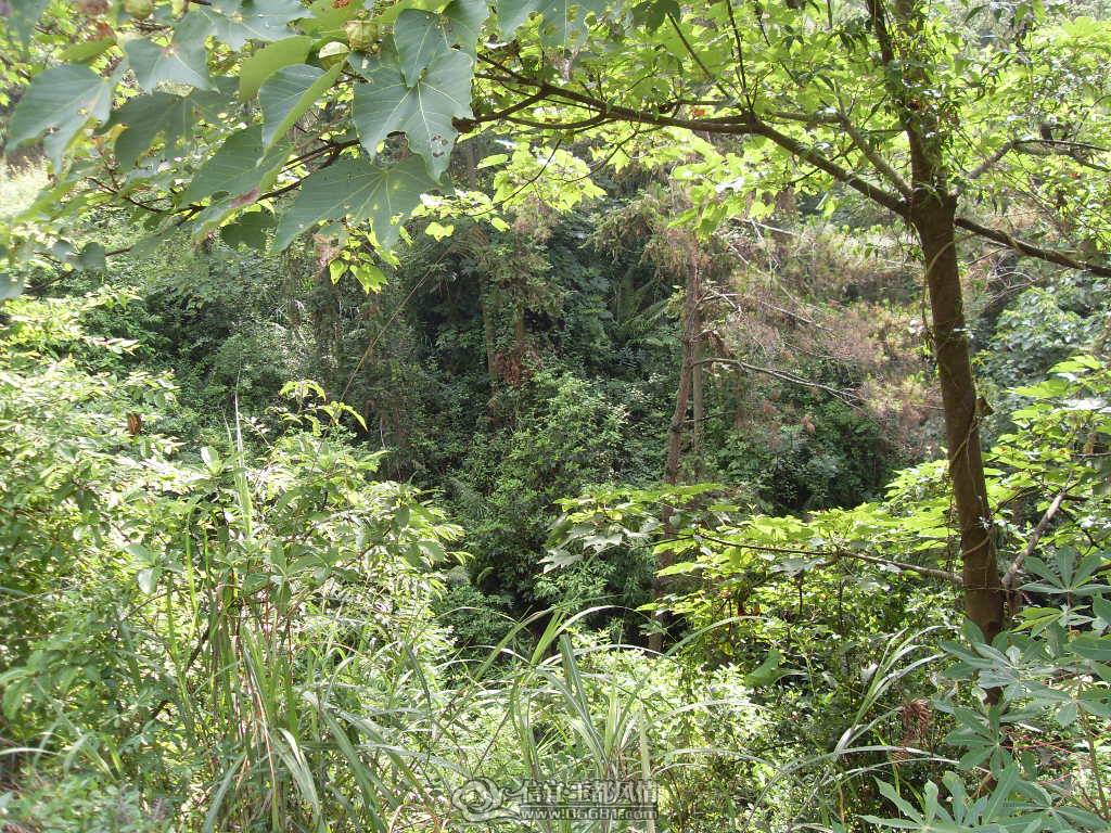 SDC12714.JPG