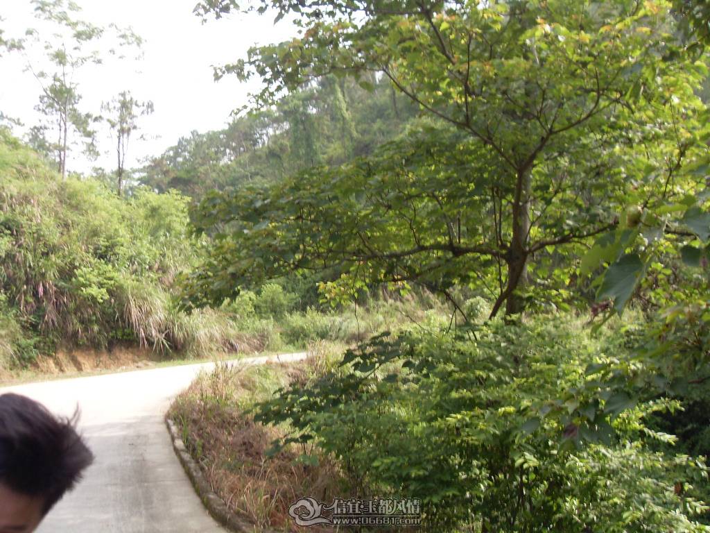 SDC12716.JPG