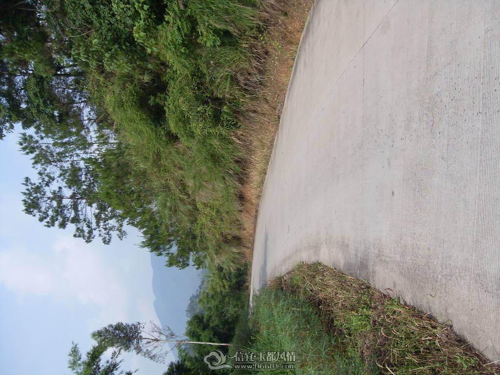 SDC12718.JPG