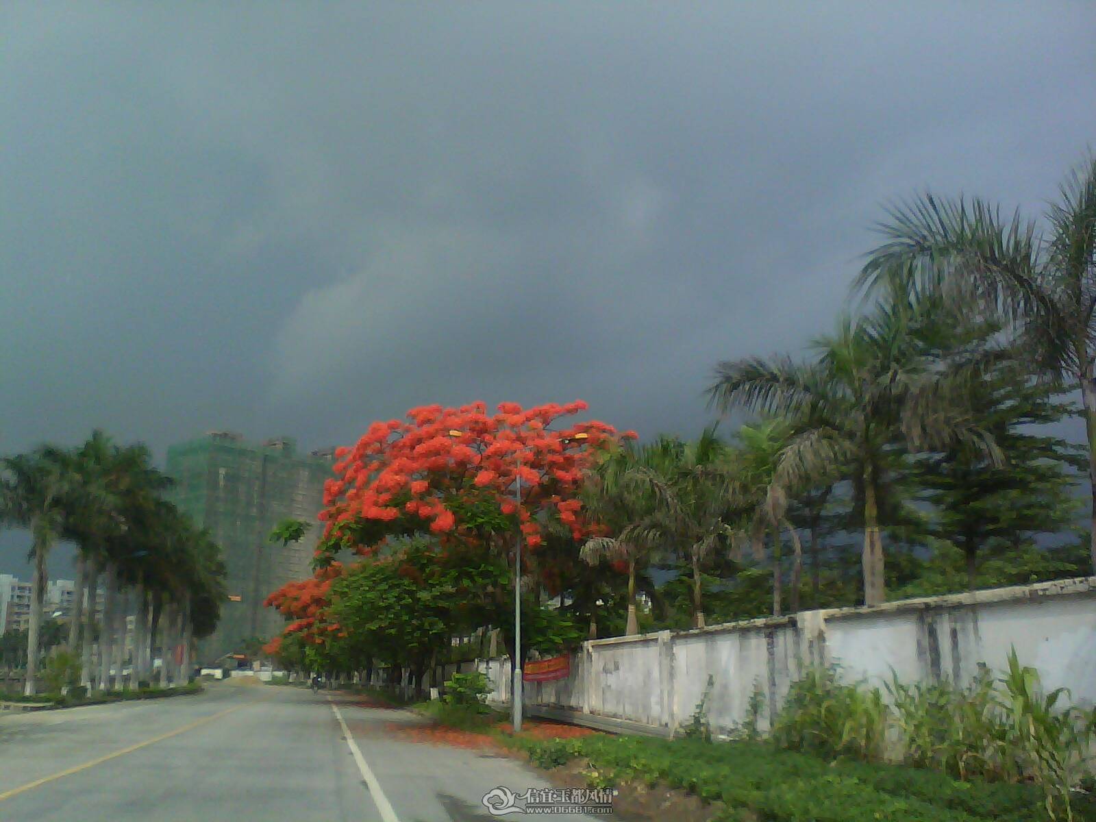 IMG0047A.jpg