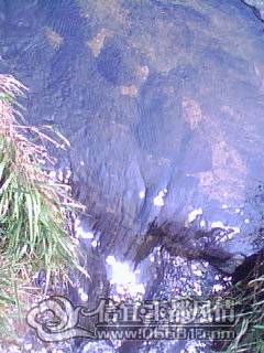 DSC_0000216.jpg