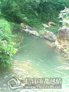 DSC_0000239.jpg