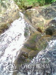 DSC_0000246.jpg