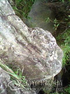 DSC_0000290.jpg