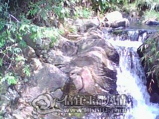 DSC_0000312.jpg