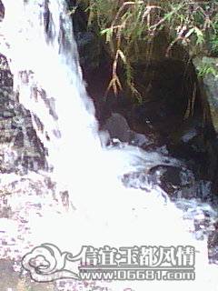 DSC_0000313.jpg