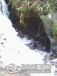 DSC_0000314.jpg