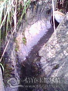 DSC_0000320.jpg