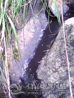DSC_0000322.jpg