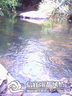 DSC_0000339.jpg