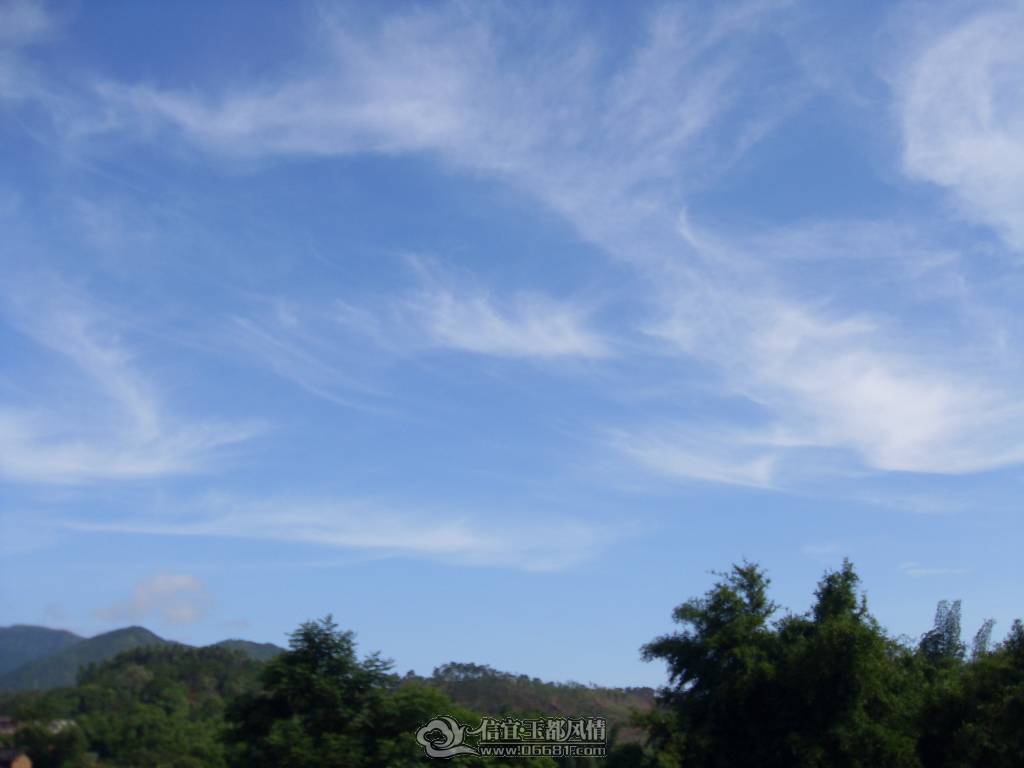 SDC12761.JPG
