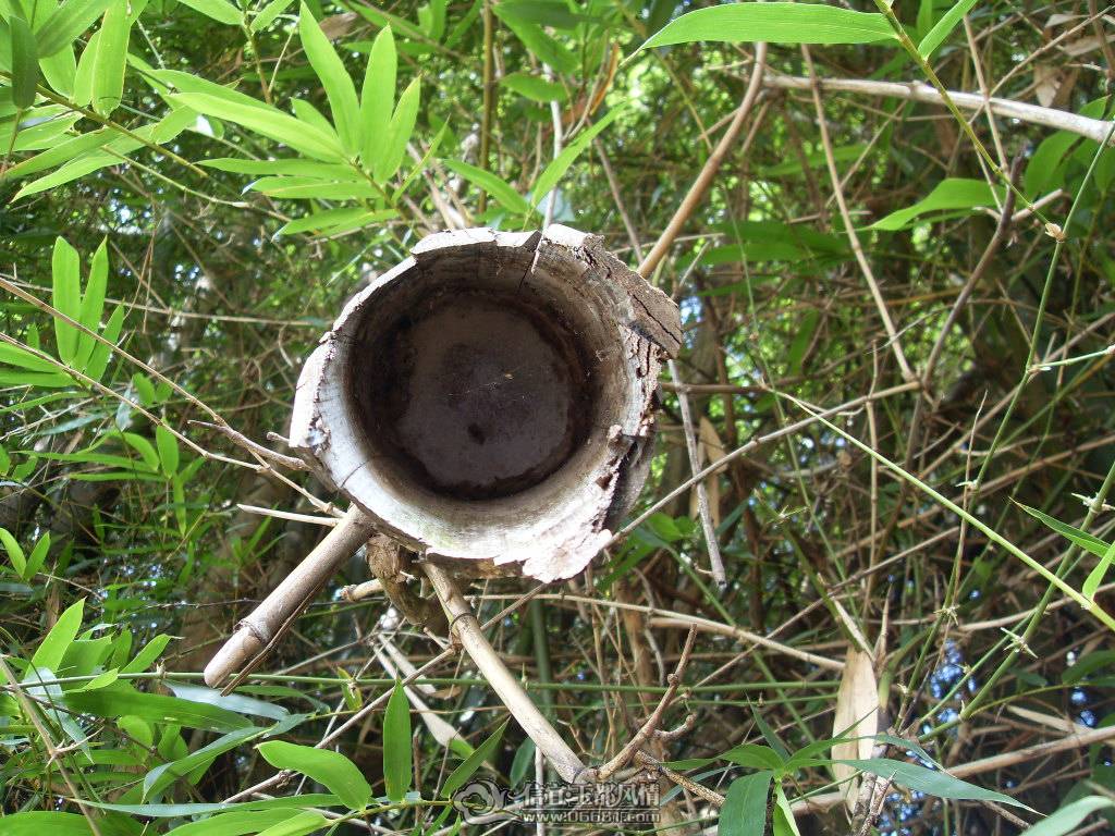 SDC12773.JPG