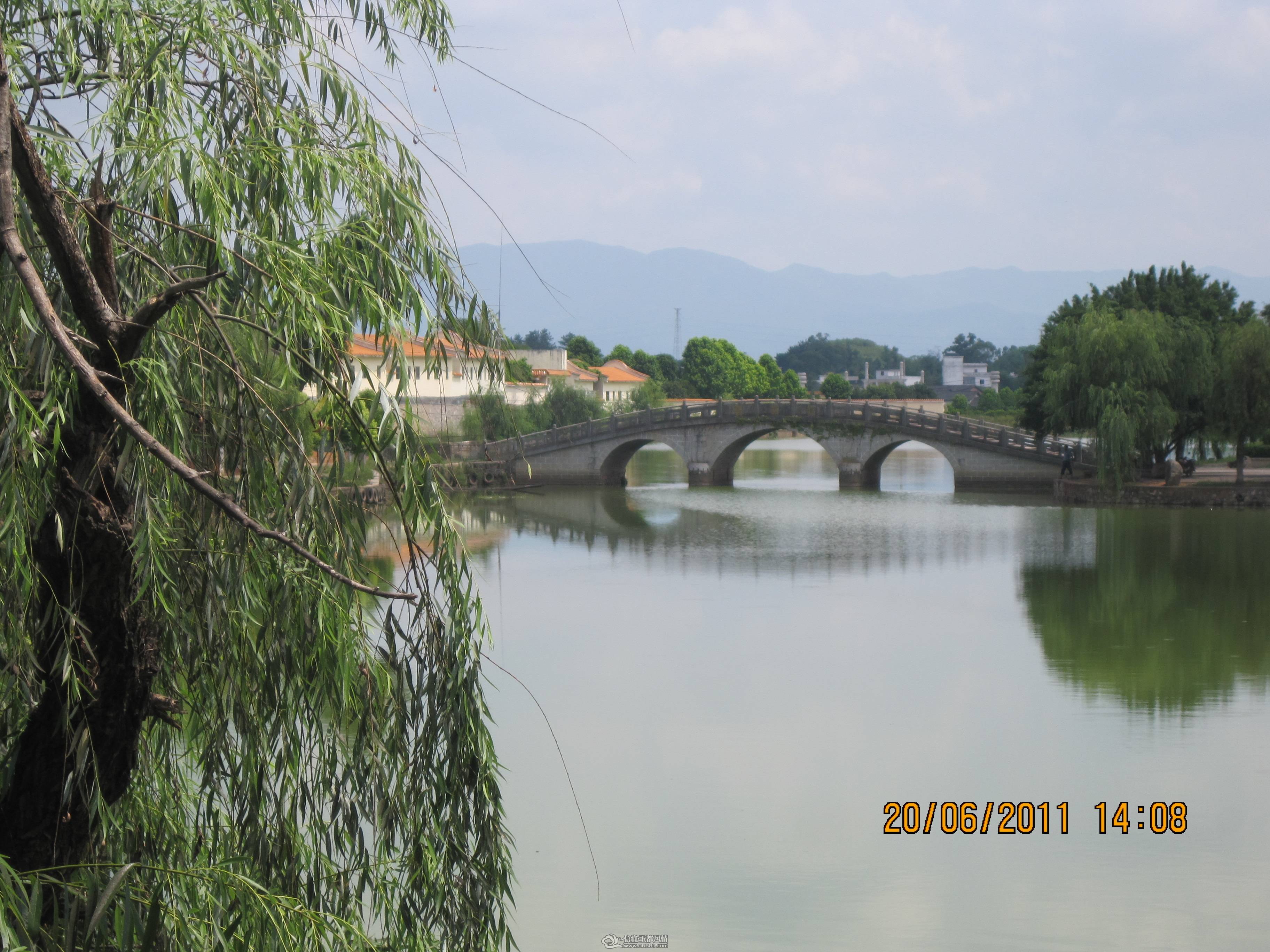 IMG_1714.jpg