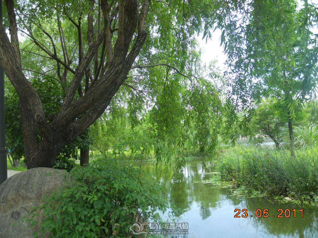 DSCN0431.JPG