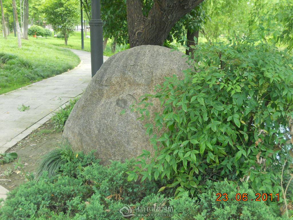 DSCN0432.JPG