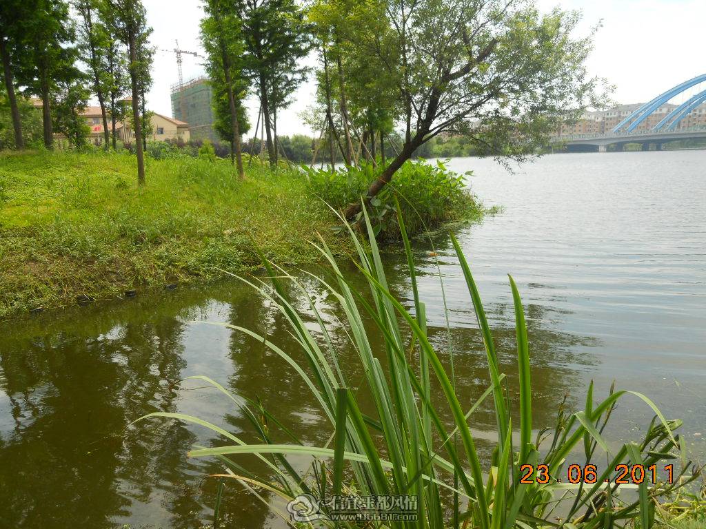 DSCN0433.JPG