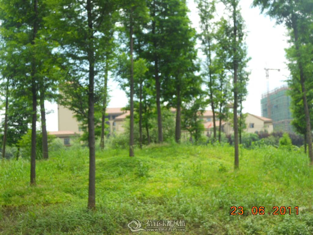 DSCN0434.JPG