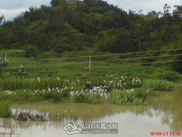 DSC00730.JPG