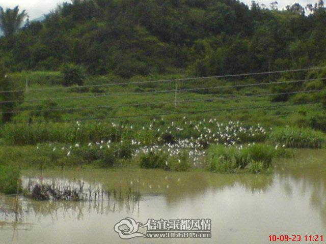 DSC00741.JPG