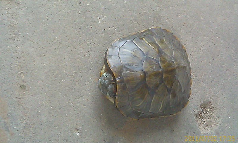 IMAG0442_��С��С.jpg