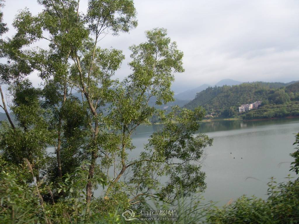 SDC12919.JPG