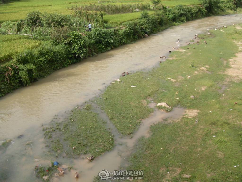 SDC12938.JPG
