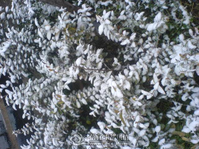 DSC00632.JPG