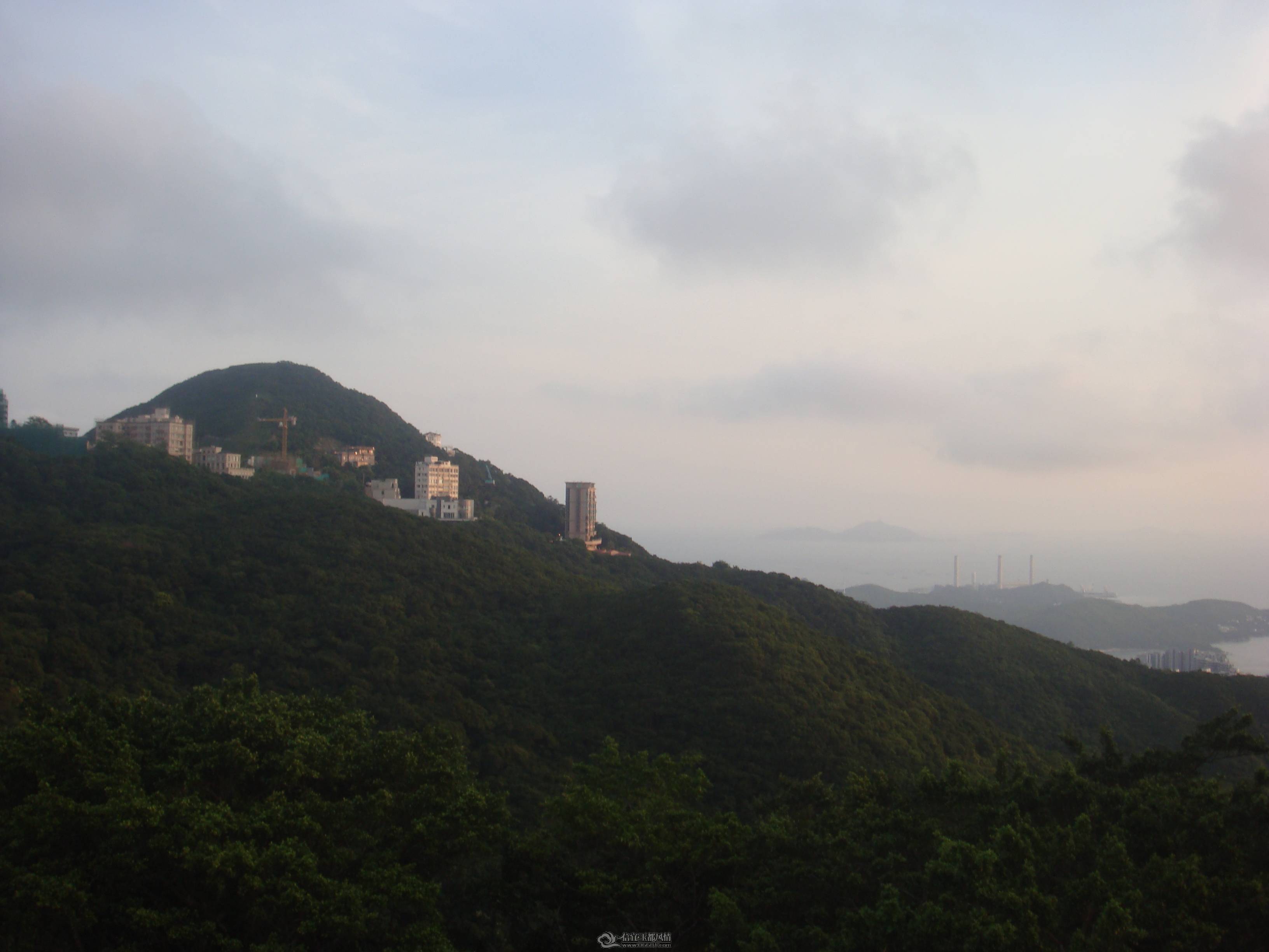 DSC01761.JPG