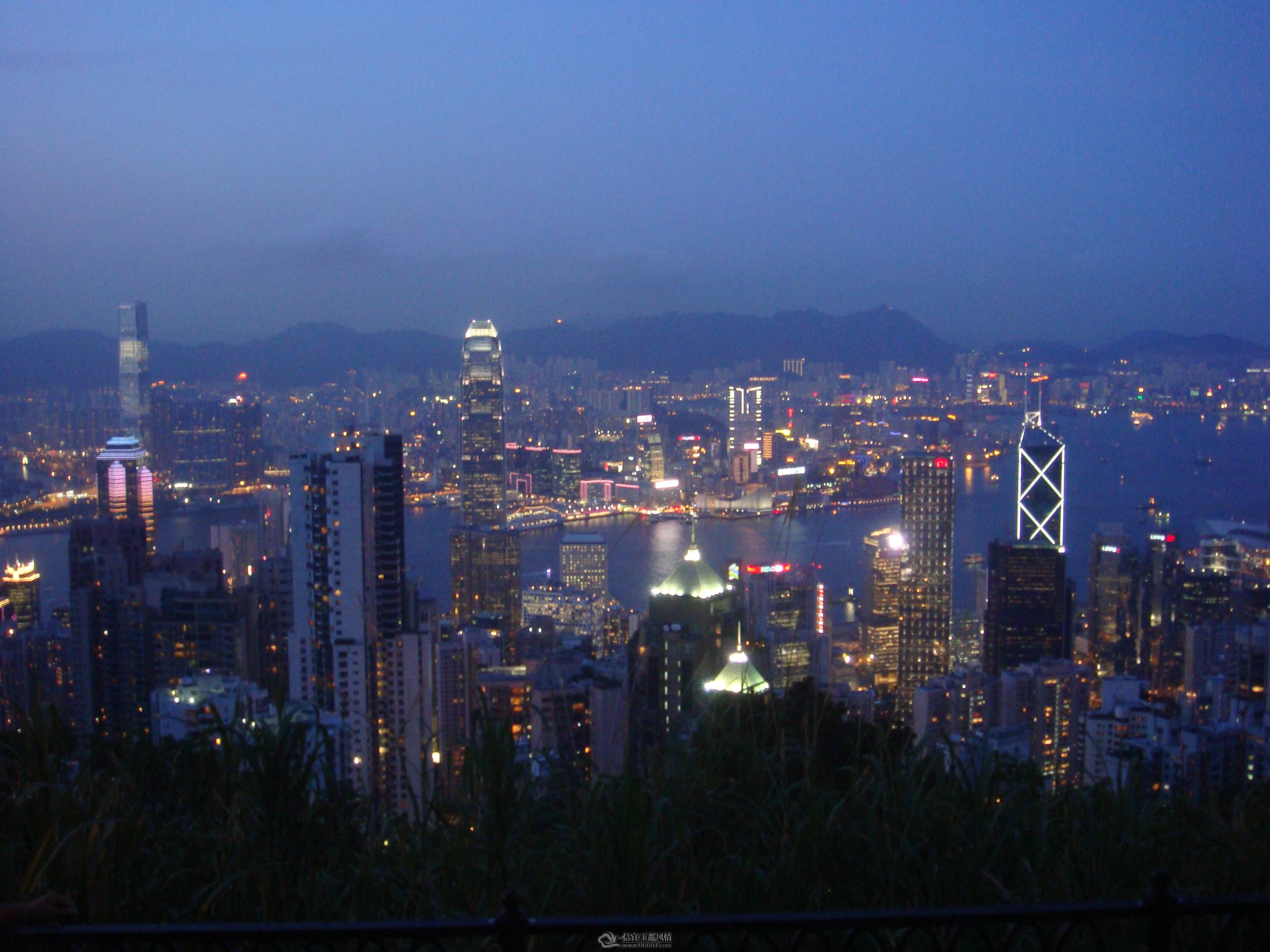 DSC01780.JPG