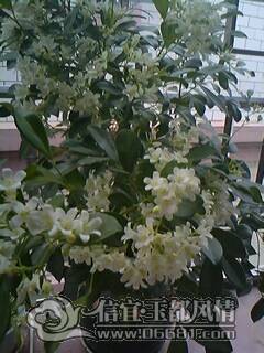 IMG0102A.jpg