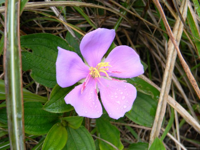 DSCN0674.jpg
