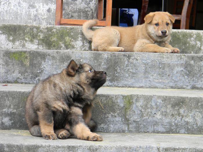 DSCN0577.jpg