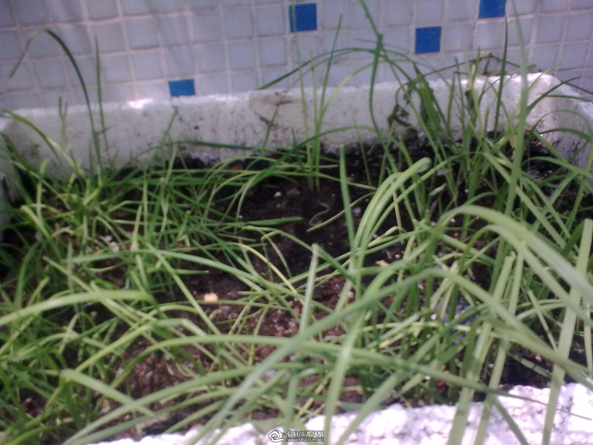 20110715_010.jpg