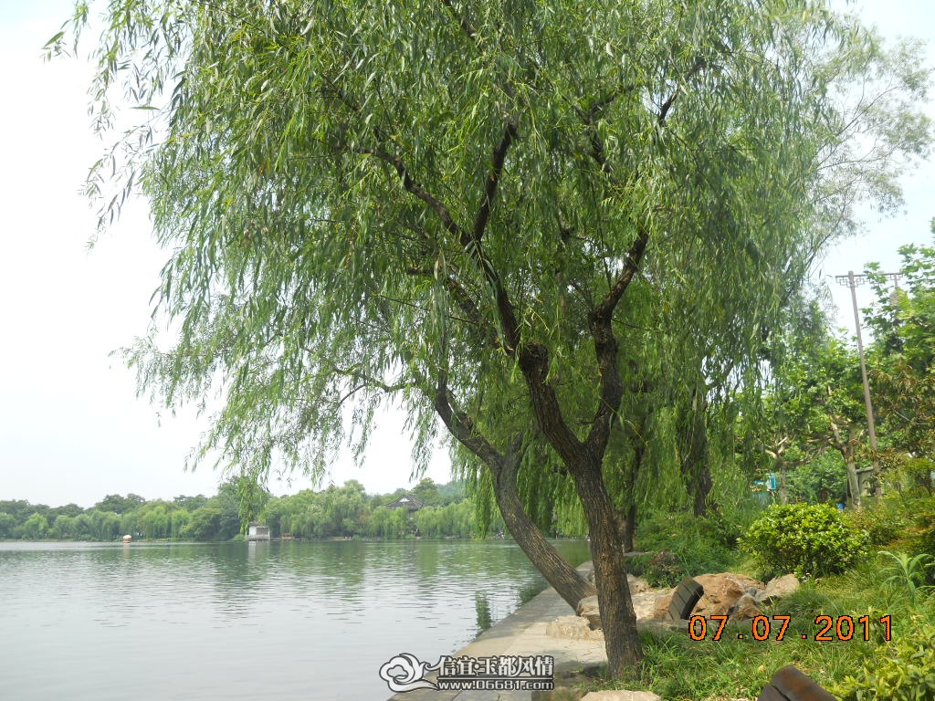DSCN0457.JPG
