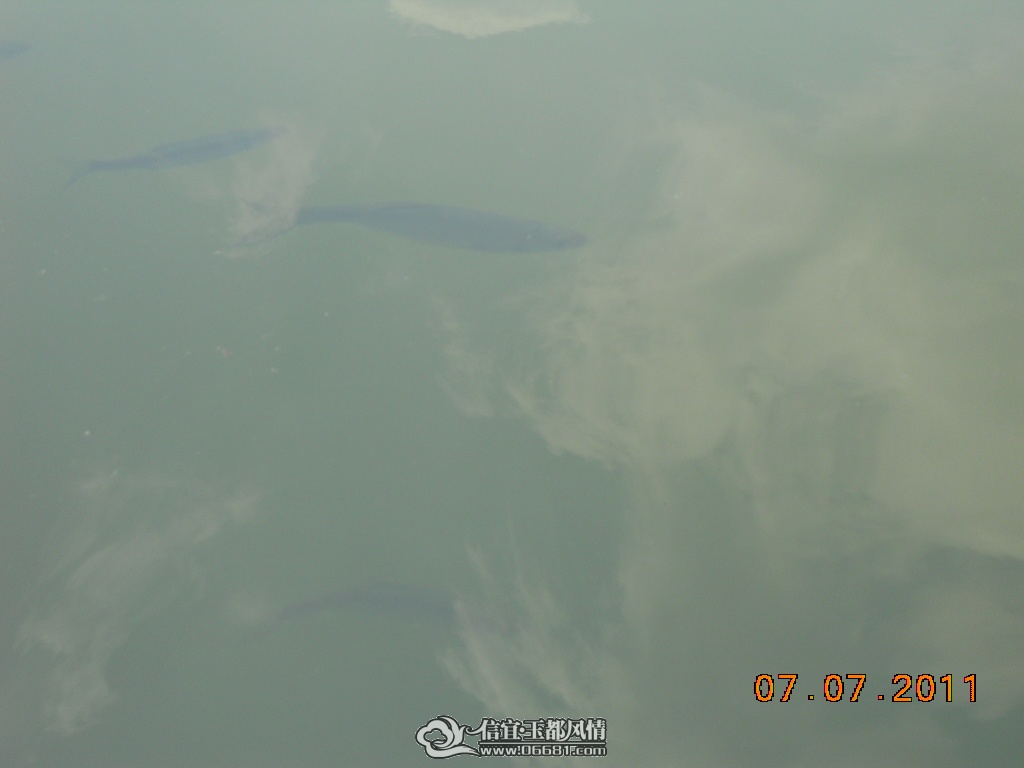 DSCN0459.JPG