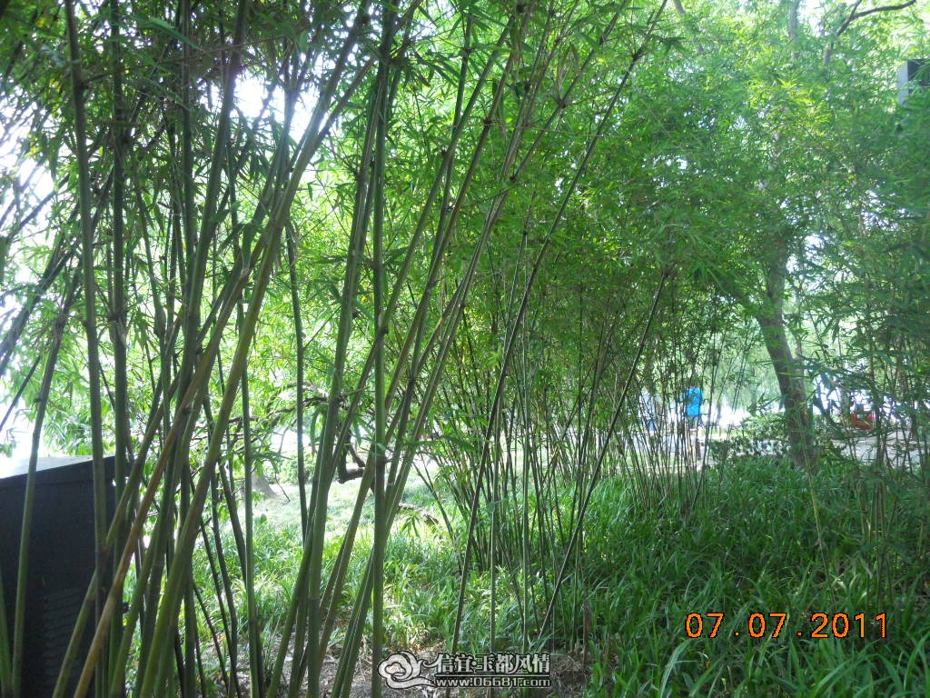 DSCN0470.JPG