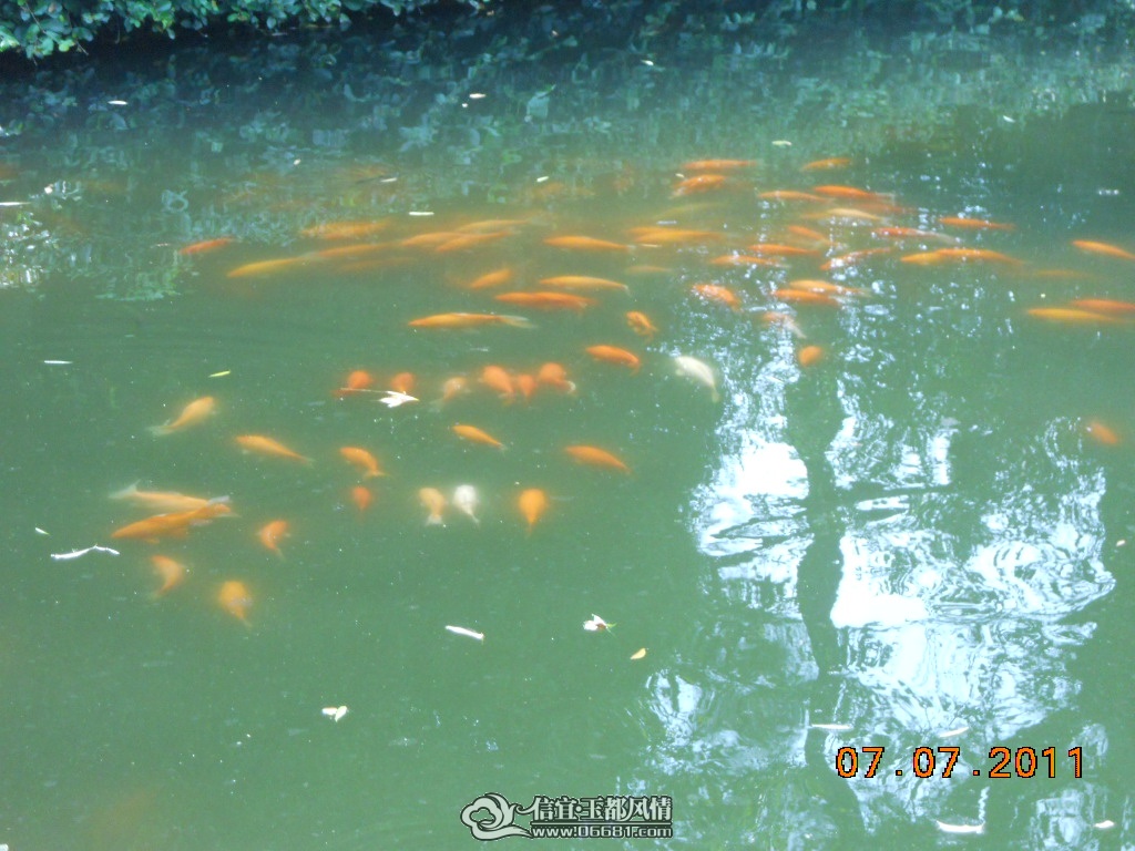 DSCN0471.JPG