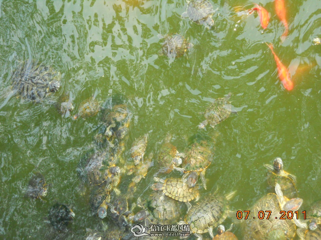 DSCN0482.JPG