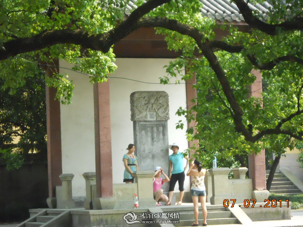 DSCN0495.JPG