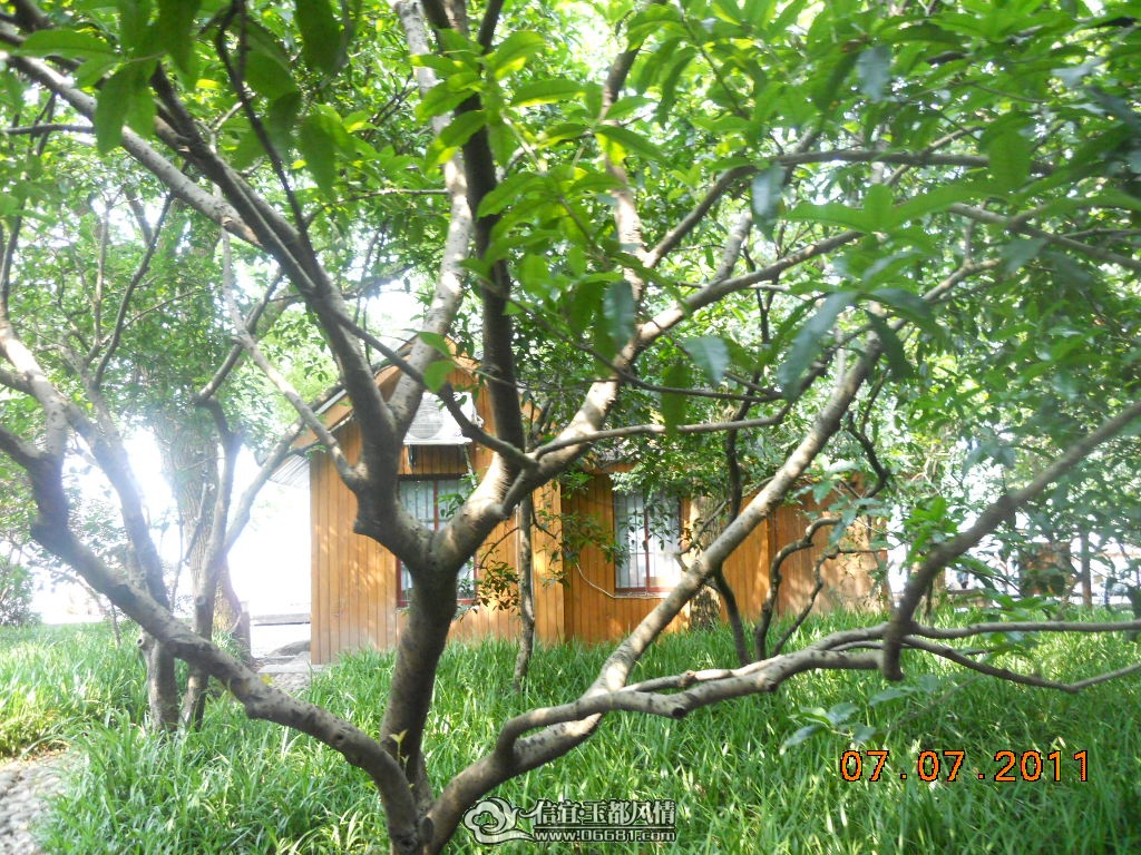 DSCN0518.JPG
