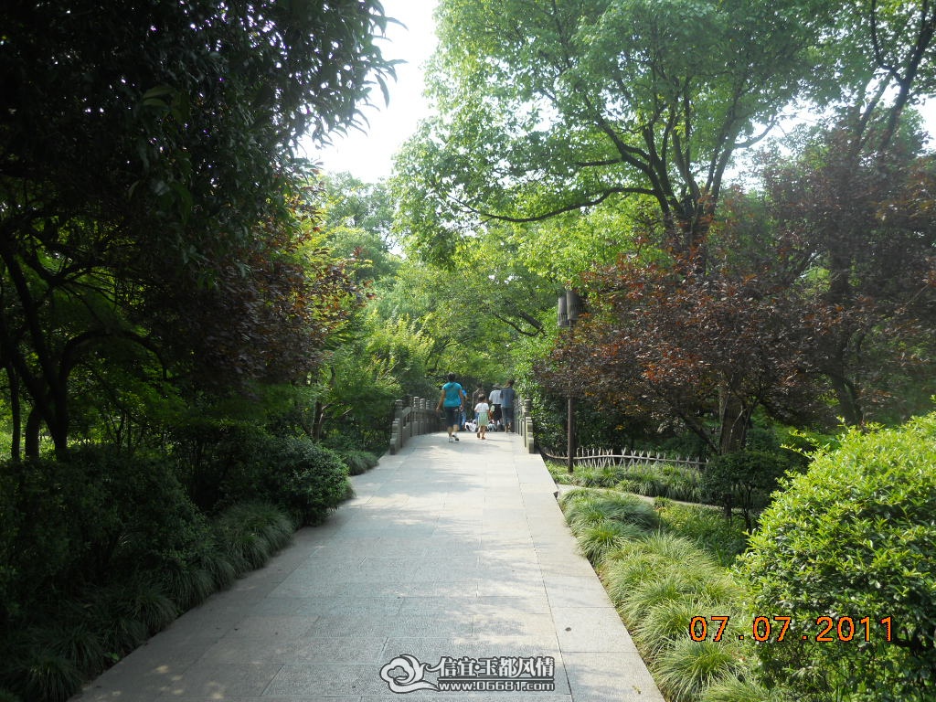 DSCN0519.JPG